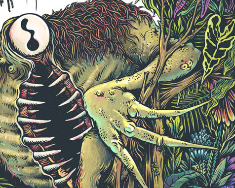 Mapinguari